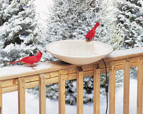 PROVIDING WATER FOR BIRDS IN THE WINTER