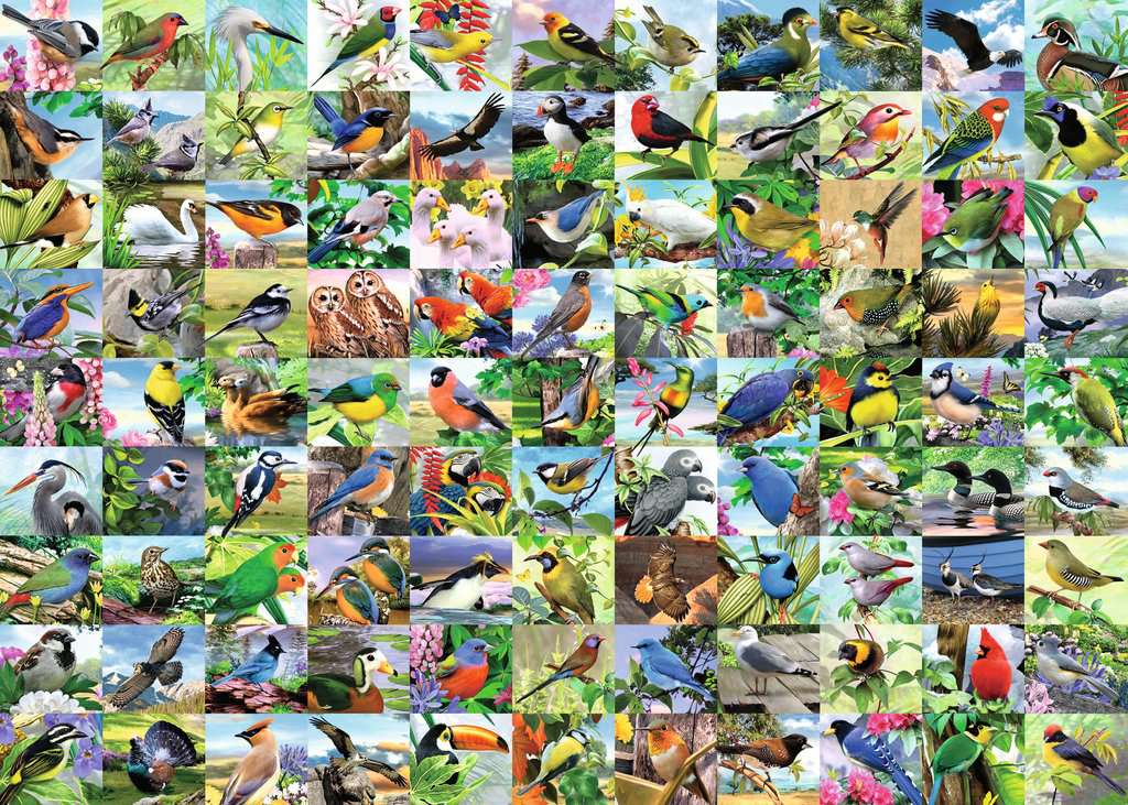 99 Delightful Birds 300pc Large Format Jigsaw Puzzle