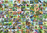 99 Delightful Birds 300pc Large Format Jigsaw Puzzle