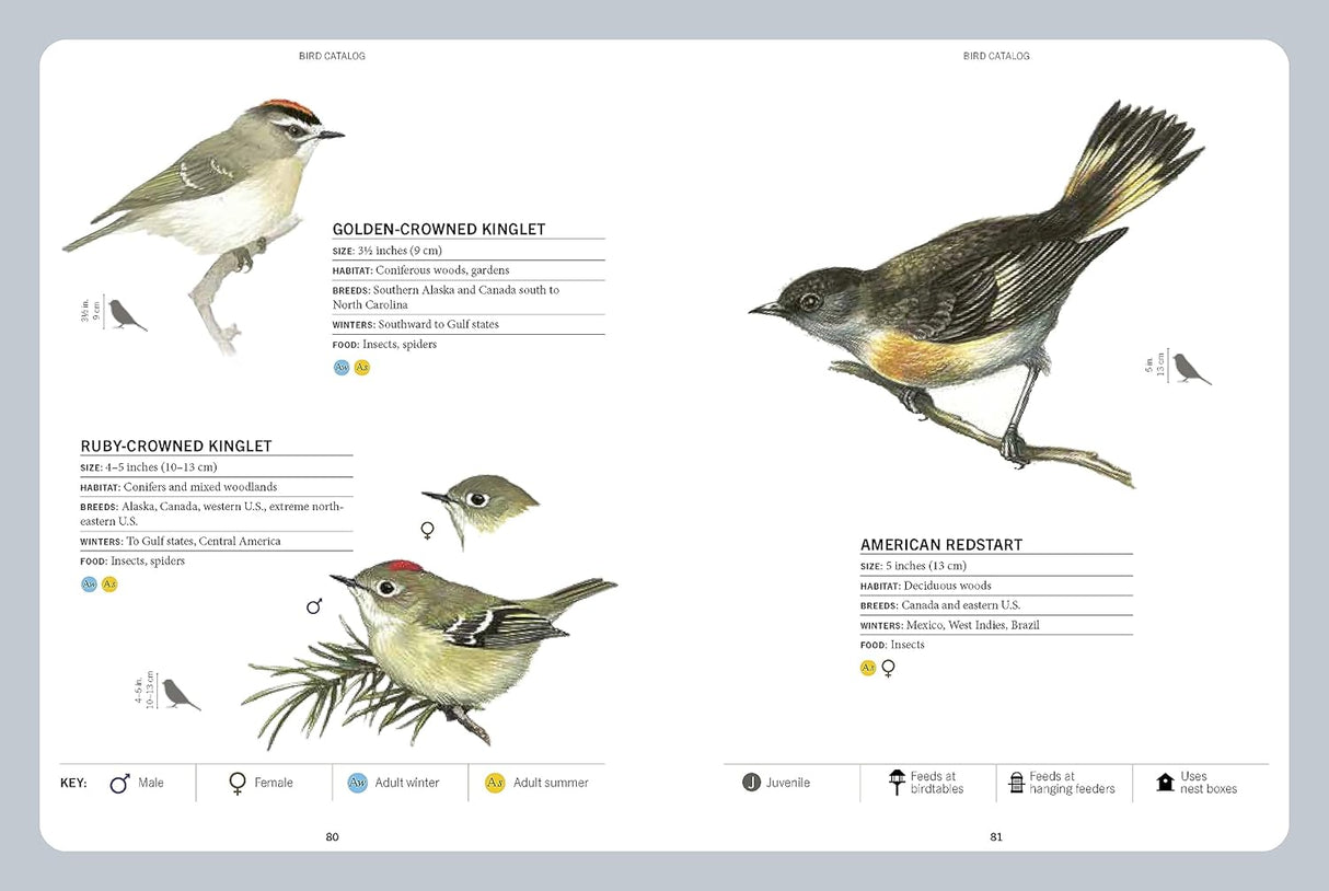 A Field Guide to Backyard Birds of North America