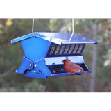 Absolute II Bird Feeder, Electric Blue