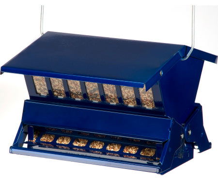 Absolute II Bird Feeder, Electric Blue