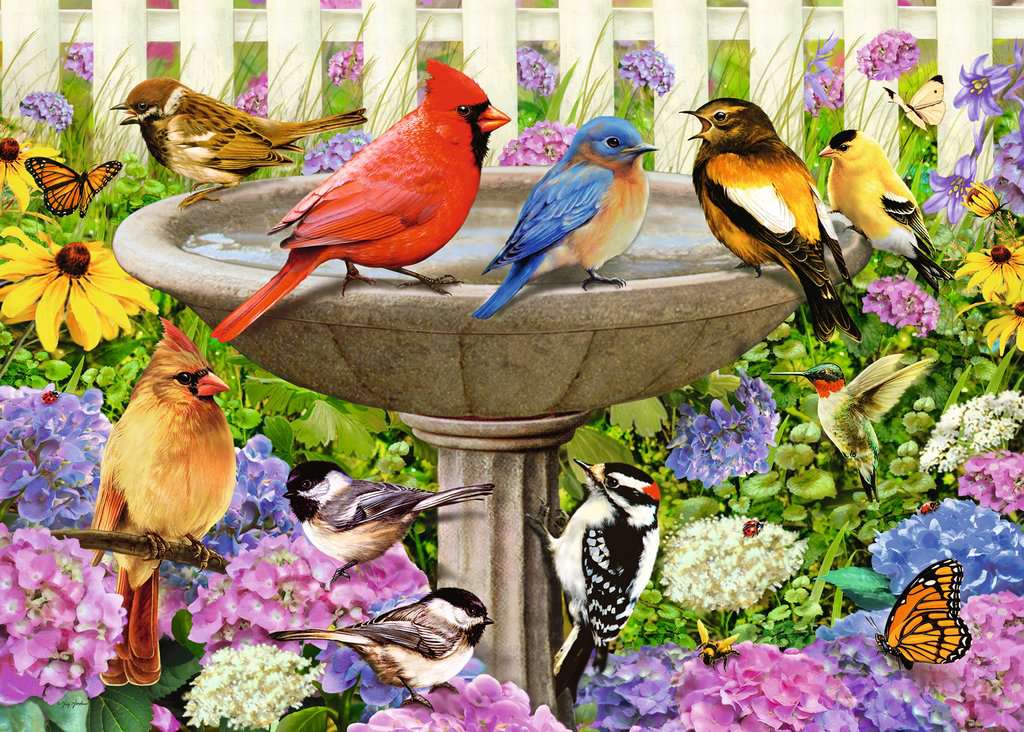 At the Birdbath 500pc Puzzle