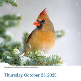 Audubon Birds Page-A-Day Calendar 2025