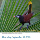 Audubon Birds Page-A-Day Calendar 2025