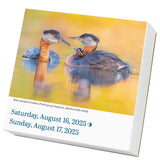 Audubon Birds Page-A-Day Calendar 2025