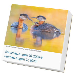 Audubon Birds Page-A-Day Calendar 2025