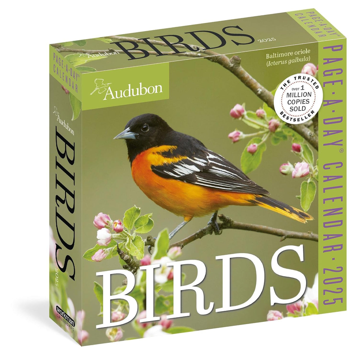 Audubon Birds Page-A-Day Calendar 2025