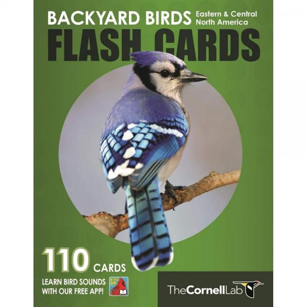 Backyard Birds Flash Cards, Eastern & Central North America