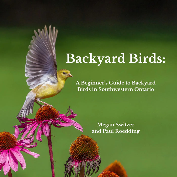 Backyard Birds, A Beginner's Guide to Backyard Birds in Southwestern Ontario