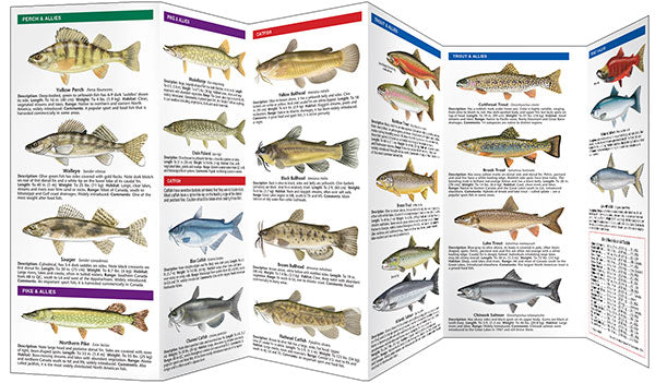 Bass & Freshwater Game Fish of North America, 2nd Edition