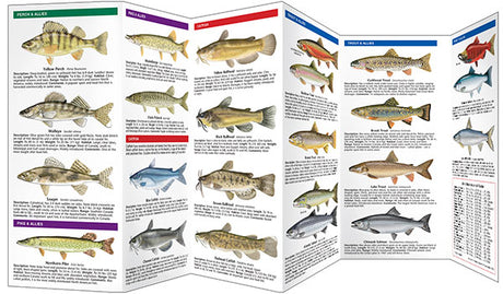 Bass & Freshwater Game Fish of North America, 2nd Edition