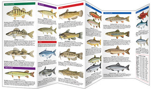 Bass & Freshwater Game Fish of North America, 2nd Edition