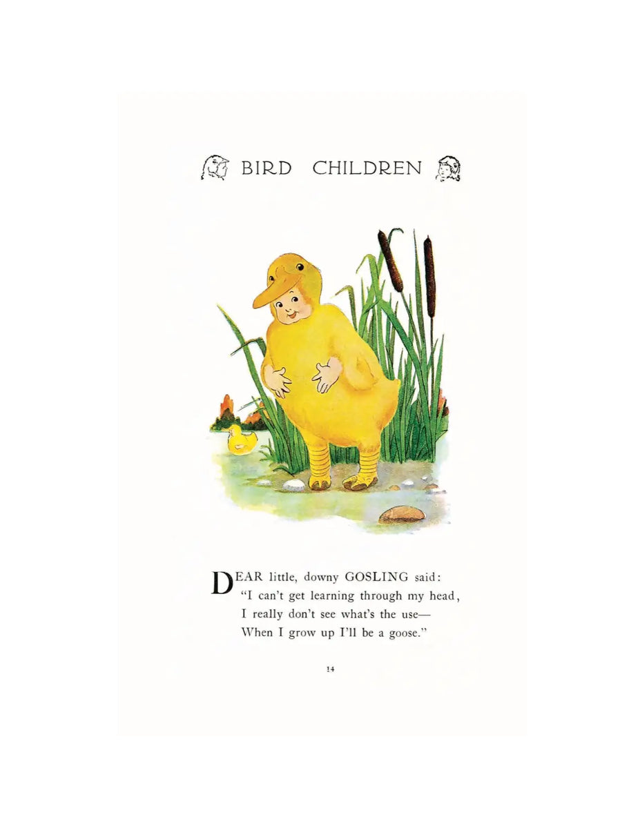 Buy Bird Children, The Little Playmates of the Flower Children Online