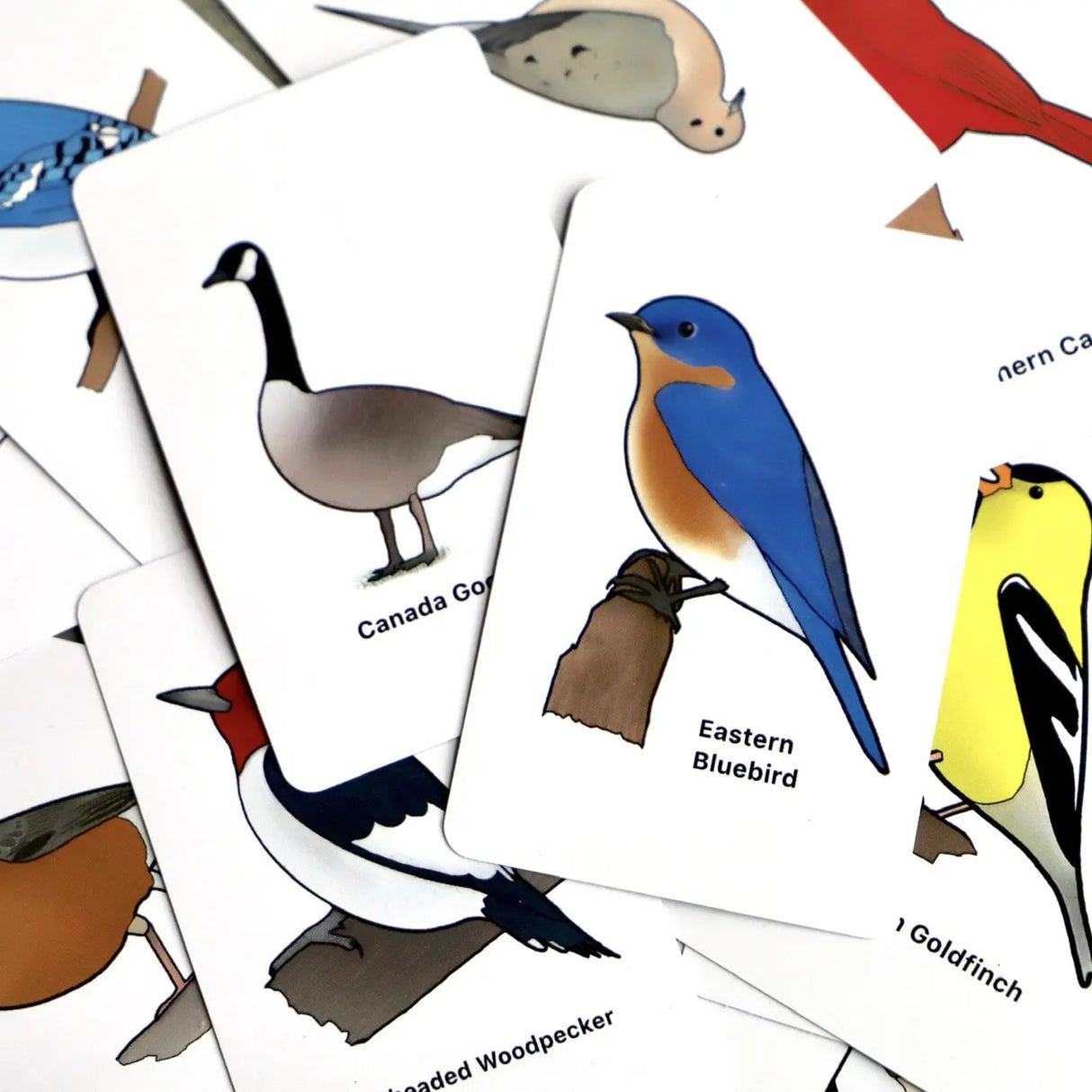 BirdMatch Original Memory Game