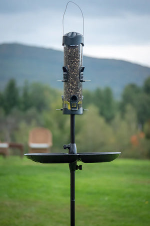 Birds Up Single Pole Kit (Feeders and Accessories Not Included)