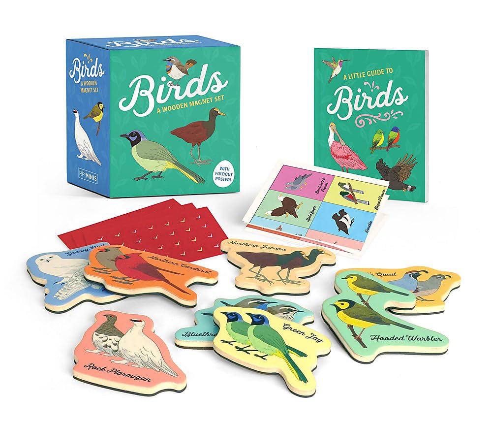 Birds, Wooden Magnet Set