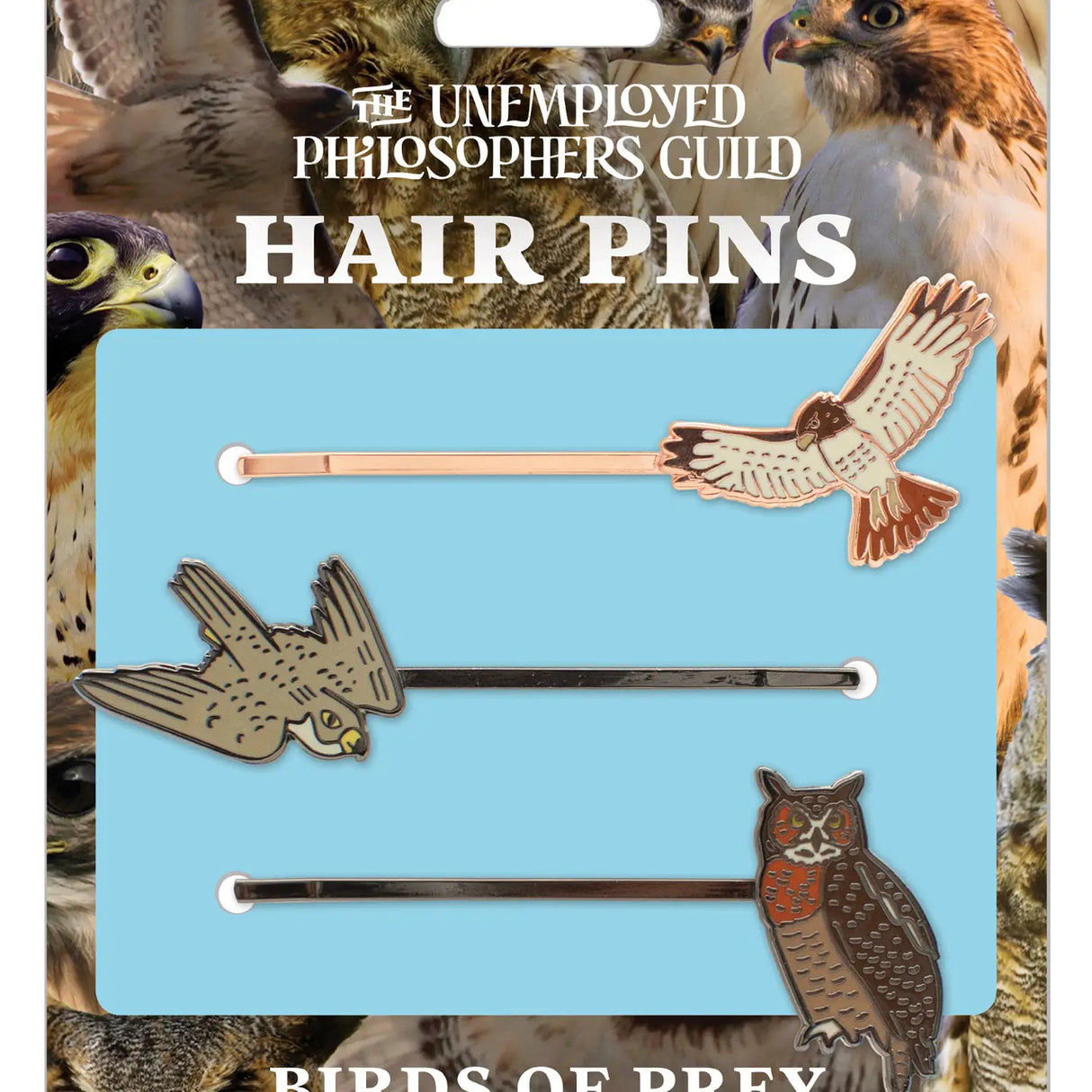 Birds of Prey Hair Pins