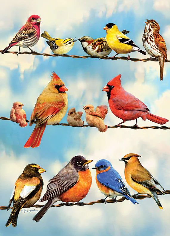 Birds on a Wire 500pc Puzzle