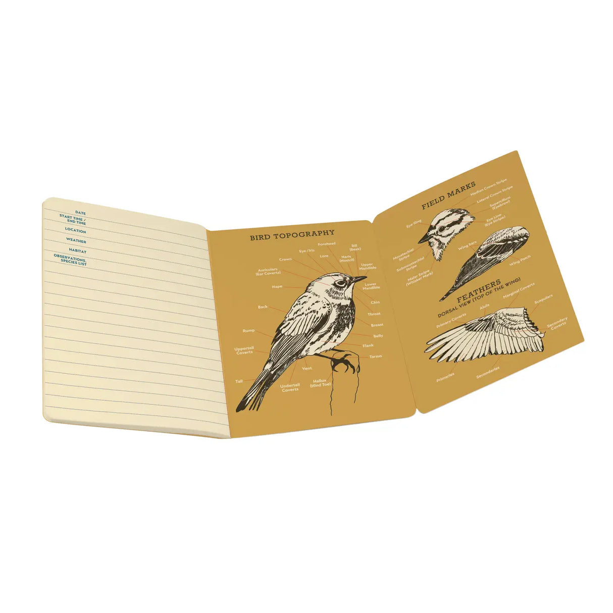 Birdwatching Notebook