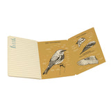 Birdwatching Notebook