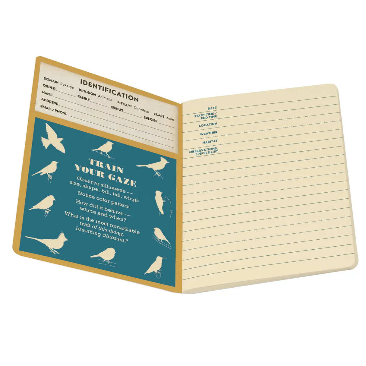 Birdwatching Notebook