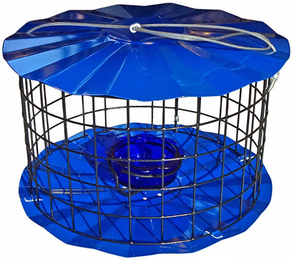 Bluebird Meal Worm Feeder, Blue