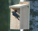 Bluebird View Thru Bird House