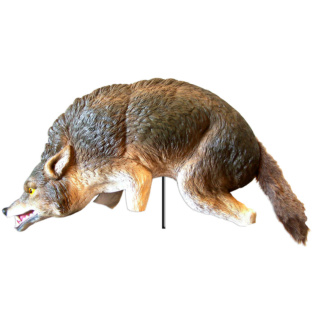 Coyote Decoy, Three Dimensional