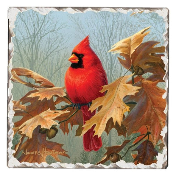 Cardinals #2 Single Absorbent Stone Tumbled Tile Coaster