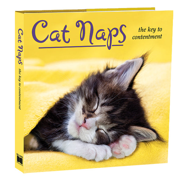 Cat Naps