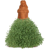 Chia Princess (Store Pickup Only)