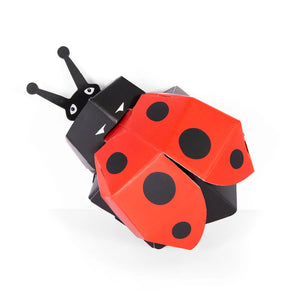 Create Your Own Ladybug Craft Kit