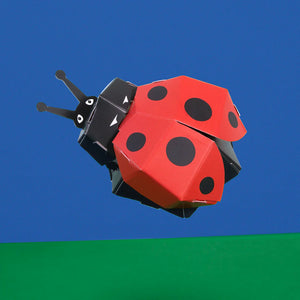 Create Your Own Ladybug Craft Kit