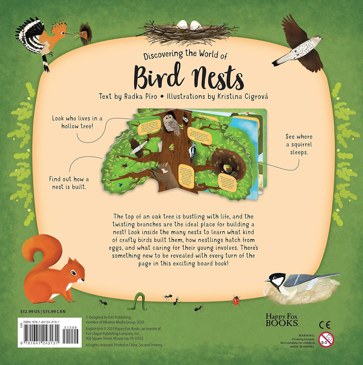 Discovering the World of Bird Nests