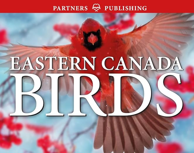 Eastern Canada Birds, Pocket Guide