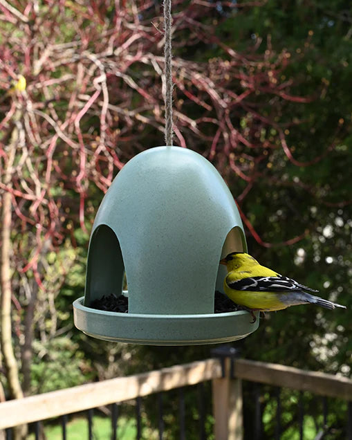 Eco Dome Bird Feeder, Green