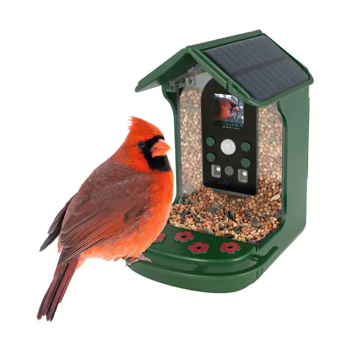 Explore Scientific Wild Bird Feeder Wi-Fi Camera