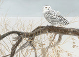 Fallen Willow Snowy Owl 500pc Puzzle