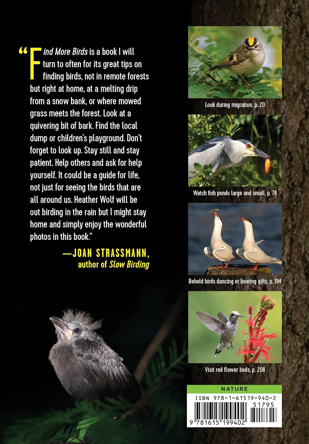 Find More Birds, 111 Surprising Ways to Spot Birds Wherever You Are