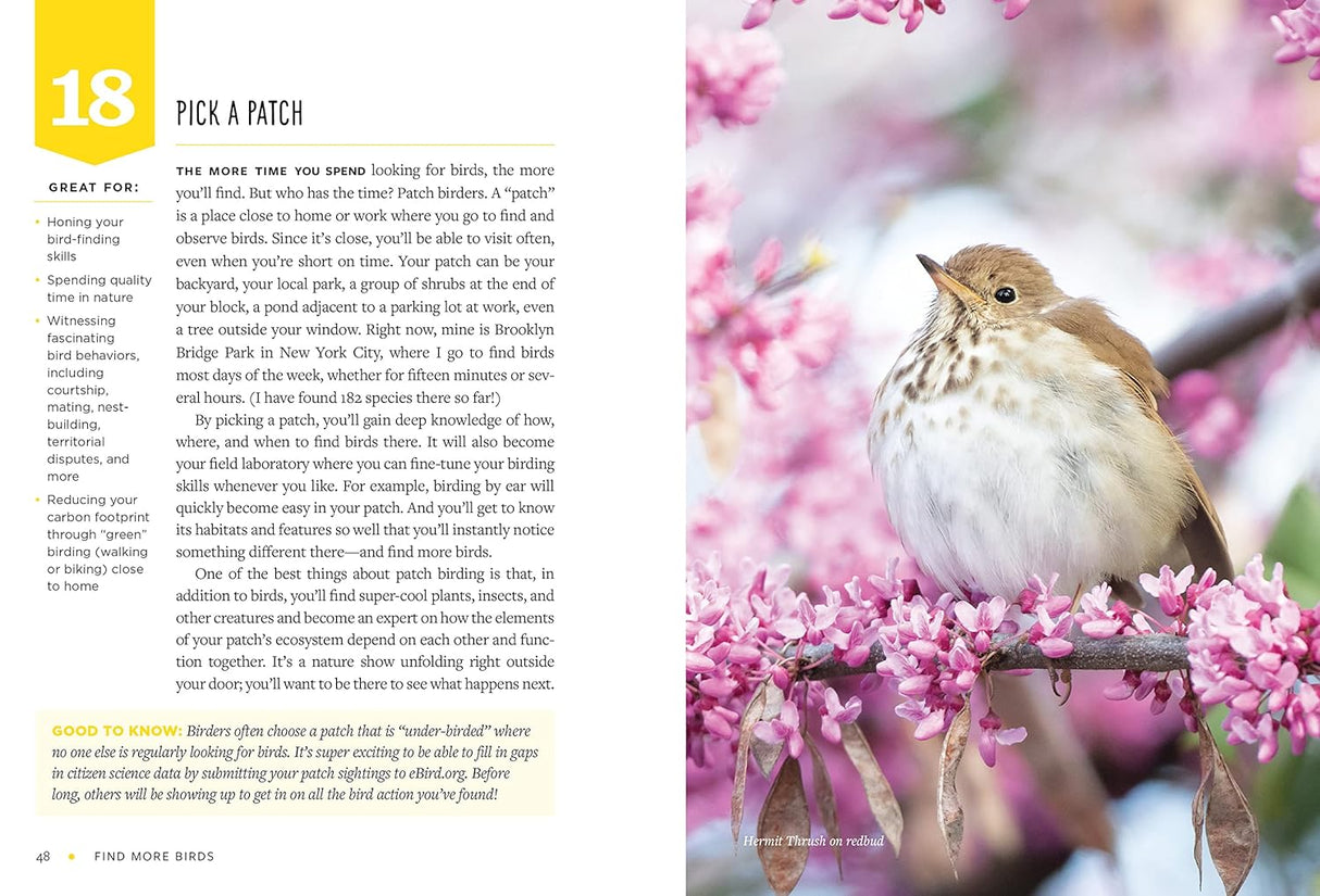 Find More Birds, 111 Surprising Ways to Spot Birds Wherever You Are