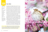 Find More Birds, 111 Surprising Ways to Spot Birds Wherever You Are