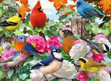 Garden Birds 500pc Jigsaw Puzzle