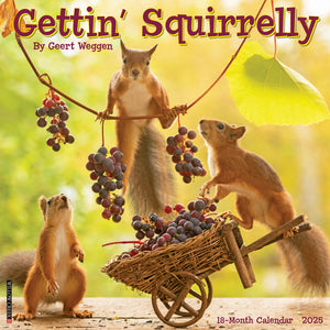 Gettin' Squirrelly 2025 12" x 12" Wall Calendar