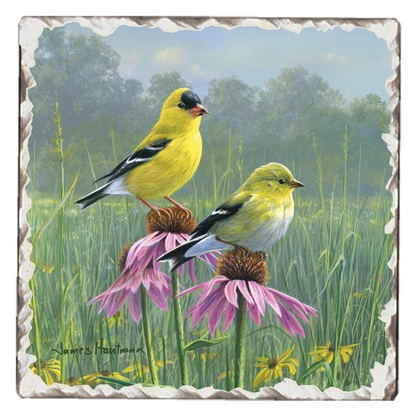 Goldfinches #2 Single Absorbent Stone Tumbled Tile Coaster