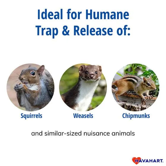 Havahart Small 1-Door Live Animal Trap