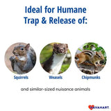 Havahart Small 1-Door Live Animal Trap