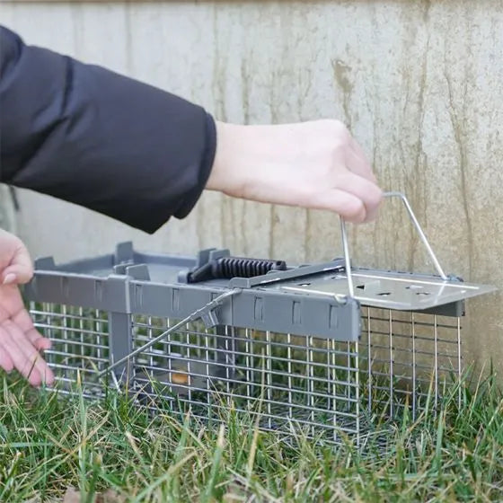 Havahart Small 1-Door Live Animal Trap