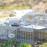 Havahart Small 1-Door Live Animal Trap