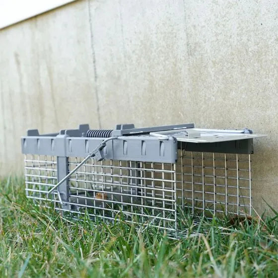 Havahart Small 1-Door Live Animal Trap